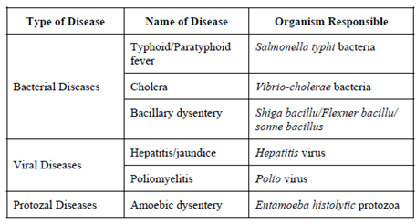 water borne diseases assignment